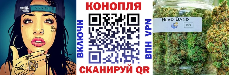 Конопля тримм как найти Гурьевск